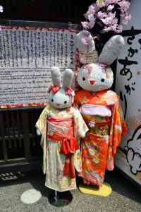 534312_4117842748495_987666408_n